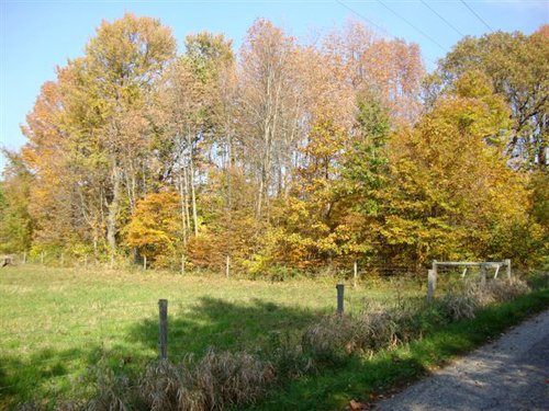 Property photo 6 - 145+/- Acres Offered in 6 Tracts Real Estate Auction